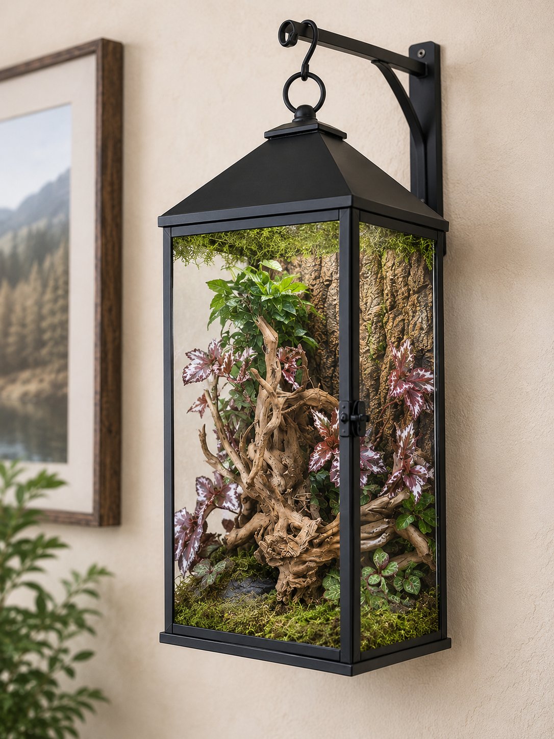 Wall-mounted lantern vivarium with live plants